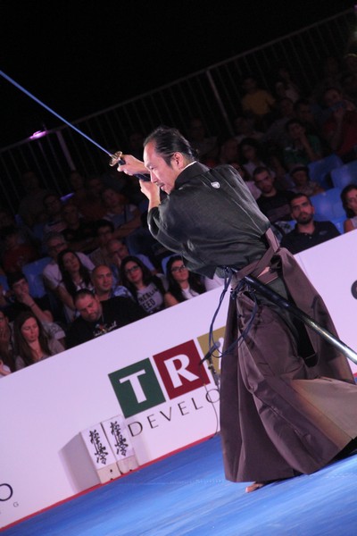 Martial Arts Festival